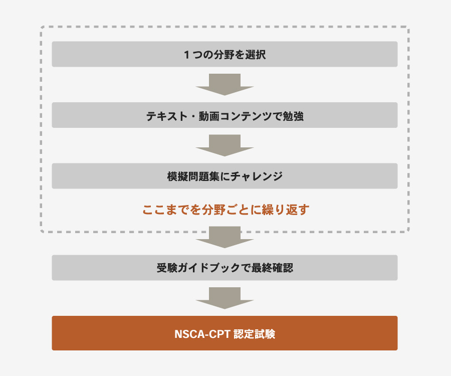 基本的な受験準備の進め方