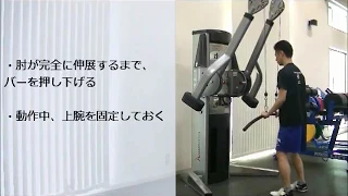 トライセップスプッシュダウン